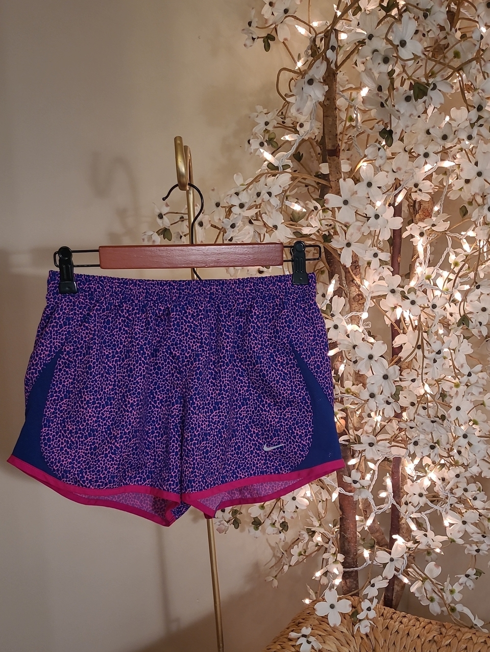 Nike Dri Fit Shorts